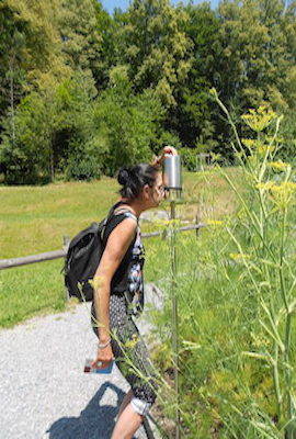 dscn2006.jpg dscn2006.jpg